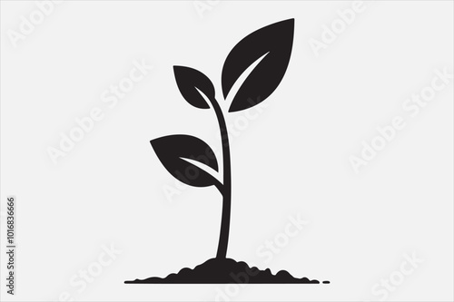 A young plant sprout emerging from the soil.