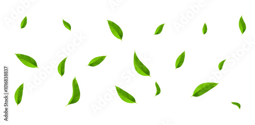 Flying green leaves on white background.