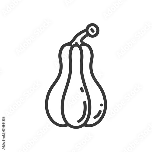 Line Drawing of a Butternut Squash