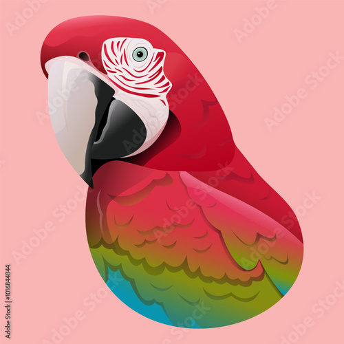 Red macaw. Arara