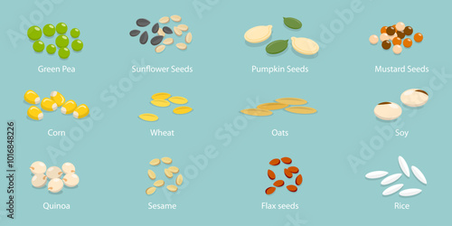 3D Isometric Flat Vector Illustration of Plant Seeds Collection, Labeled Piles