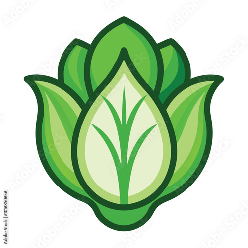  fresh bok choy Vegetable Vector illustration of Leaf cabbage pak choy, bok choy silhouette icon