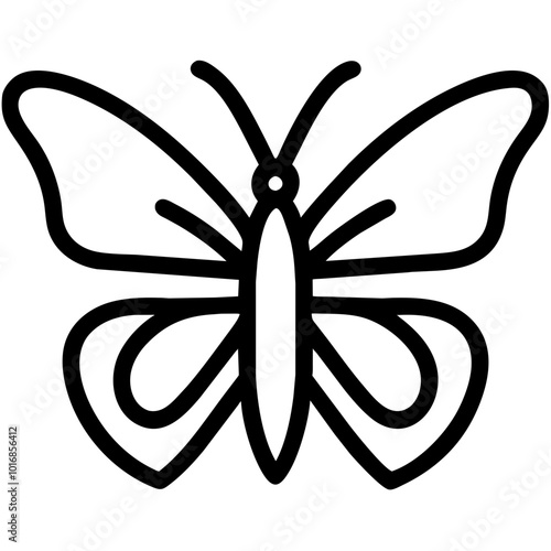 butterfly
