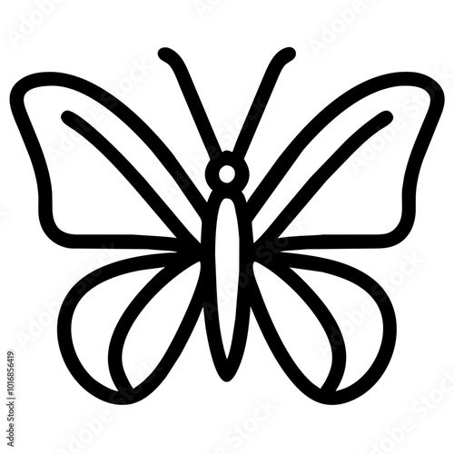 butterfly
