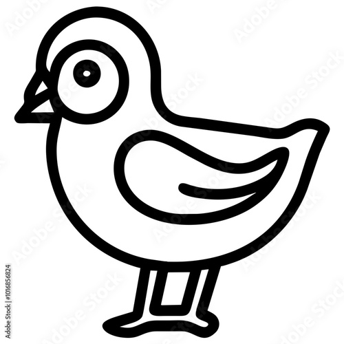 chick