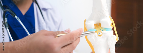 Orthopedic doctor surgeon use knee joint model for explain about treat osteoarthritis in the elderly, knee injuries, and provides knee surgery advice, hospital and health concepts.