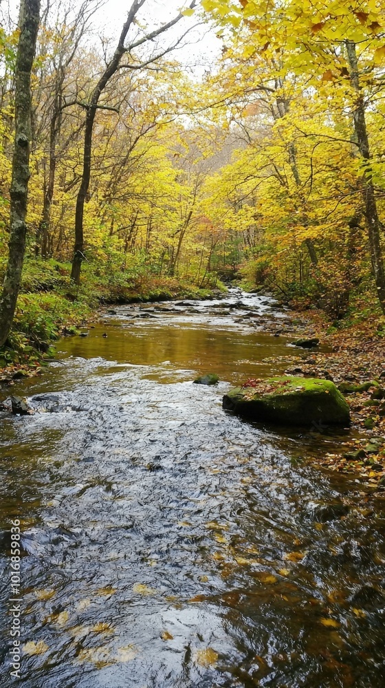 Flowing river through vibrant autumn forest surrounded by golden leaves in tranquil setting Flowing river through vibrant autumn forest surrounded by golden leaves in tranquil setting