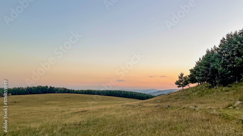 A serene summer landscape featuring a grassy meadow and forest under a pastel sunset sky, perfect for illustrating tranquility and nature themes