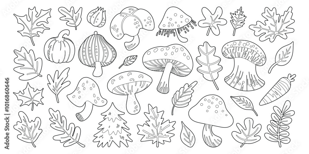 Set of isolated cute Fall elements in doodle hand drawn style on a transparent background. Vol.3 : Mushrooms series in Black outline Set of isolated cute Fall elements in doodle hand drawn style on a transparent background. Vol.3 : Mushrooms series in Black outline