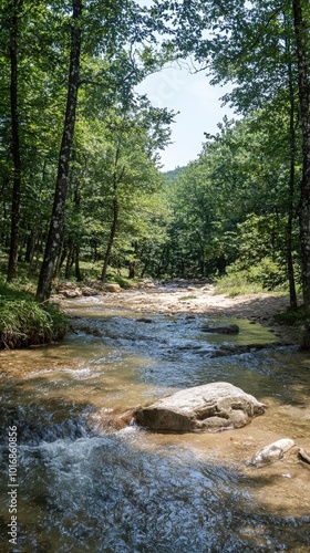 Serene river winding through lush forest under the bright summer sun