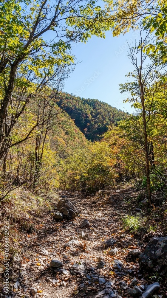 A serene hiking trail winding through autumn foliage in the mountains on a clear day A serene hiking trail winding through autumn foliage in the mountains on a clear day