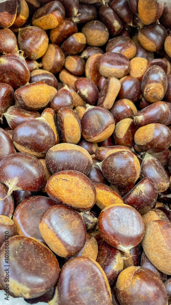 A pile of fresh, glossy chestnuts perfect for roasting during autumn holidays, symbolizing tradition and warmth A pile of fresh, glossy chestnuts perfect for roasting during autumn holidays, symbolizing tradition and warmth
