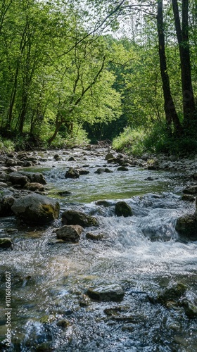 Wallpaper Mural Tranquil stream flowing through lush green forest in the early afternoon sun Torontodigital.ca