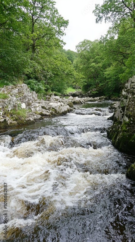 A serene river flows through lush greenery in a tranquil forest during a cloudy day A serene river flows through lush greenery in a tranquil forest during a cloudy day