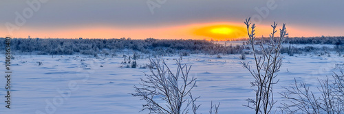 Fotografie A tranquil winter sunrise illuminates a snow-covered landscape, evoking themes o