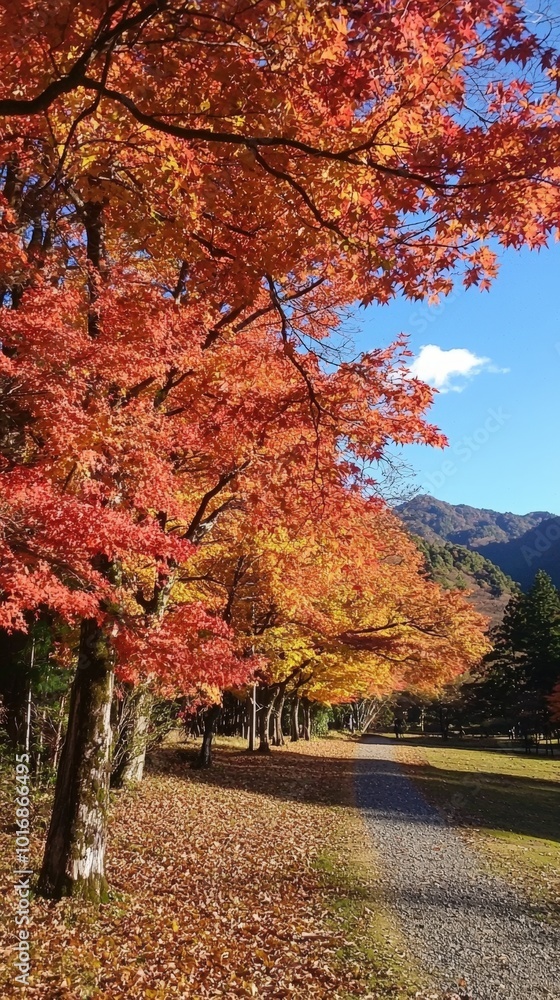 Autumn leaves cascade in vibrant colors along a tranquil trail in a mountain park Autumn leaves cascade in vibrant colors along a tranquil trail in a mountain park