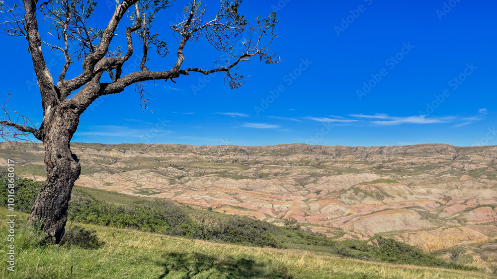 A solitary tree stands tall in a vast, arid landscape, highlighting environmental conservation and climate change awareness A solitary tree stands tall in a vast, arid landscape, highlighting environmental conservation and climate change awareness
