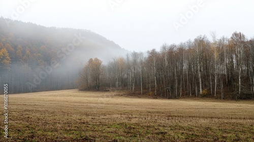 Misty morning in the serene valley with trees and hills enveloped in gentle fog photo