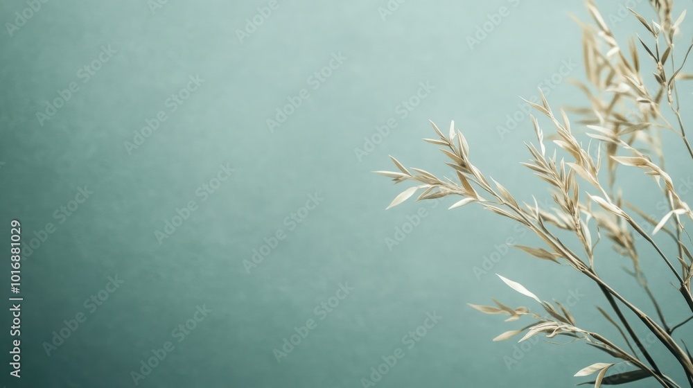 Minimal solid soft sage green background with a light grunge texture. Minimal solid soft sage green background with a light grunge texture.