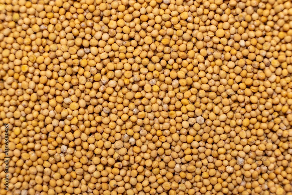 Yellow Dry Mustard Seed Background, Natural Organic Seasoning, Top View. Yellow Dry Mustard Seed Background, Natural Organic Seasoning, Top View.
