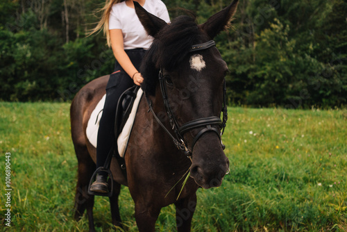 Photography A woman sitting bareback on a dark horse, only her legs and the horse are visible