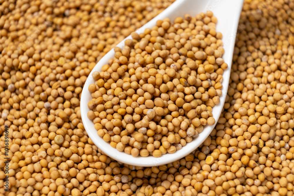 Mustard seeds in a spoon, natural organic seasoning Mustard seeds in a spoon, natural organic seasoning