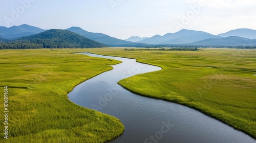 Wetlands restoration projects designed to absorb floodwaters, Environmental Engineering, climate resilience