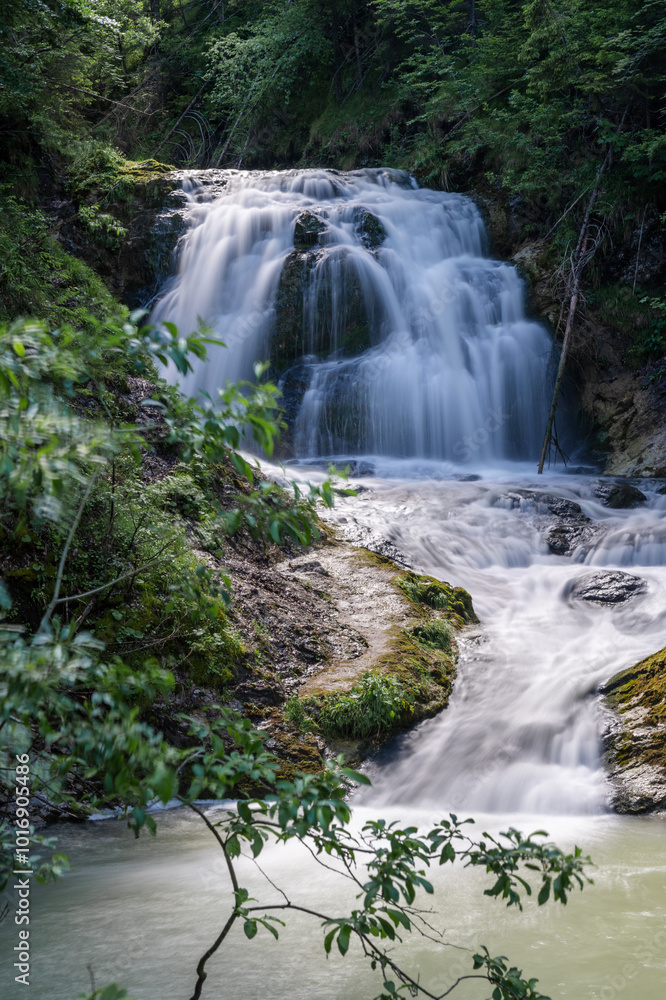 Fototapeta premium waterfall in the forest