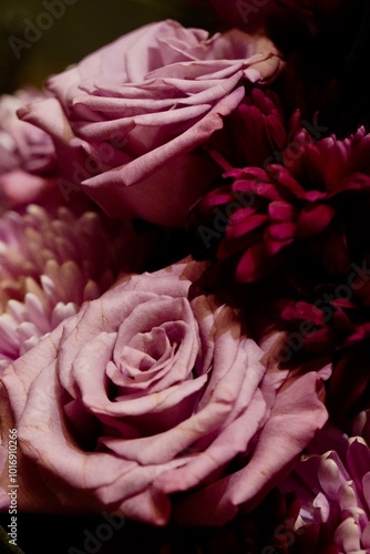 Bouquet of Purple Roses