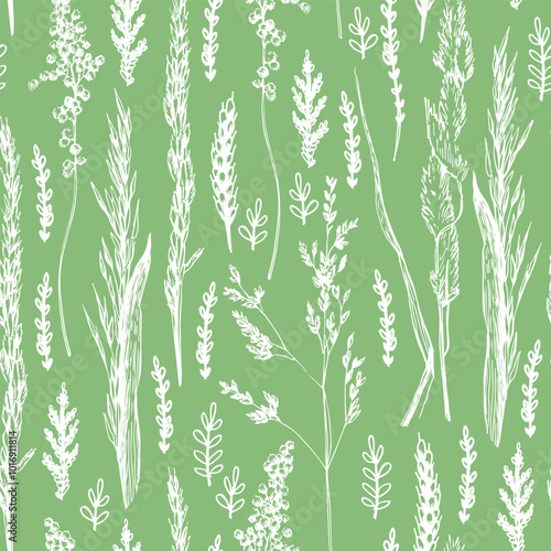 Cereal grass field hand-drawn ipattern