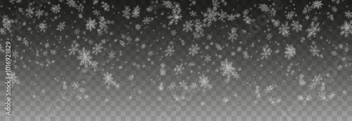 Vector snow png. Falling snowflakes on isolated transparent background. Snow storm, snowflakes, winter, snowfall png.