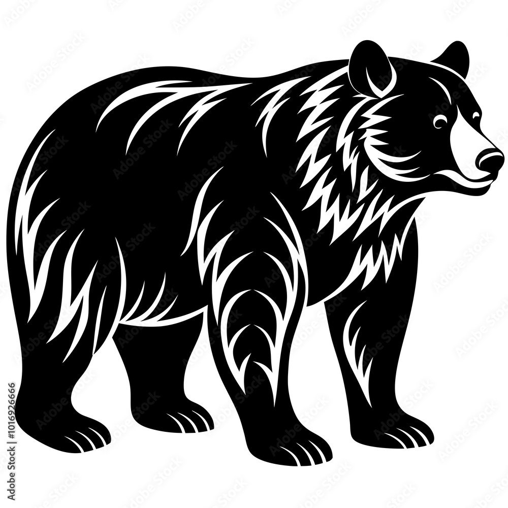 illustration of a bear illustration of a bear