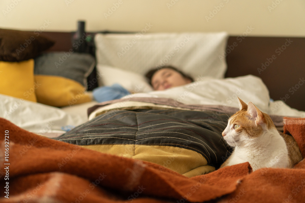 A kitten lying in bed while a woman is sleeping A kitten lying in bed while a woman is sleeping