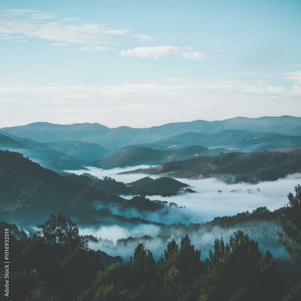 Misty Mountain View with Rolling Hills and Dense Fog at Dawn Misty Mountain View with Rolling Hills and Dense Fog at Dawn