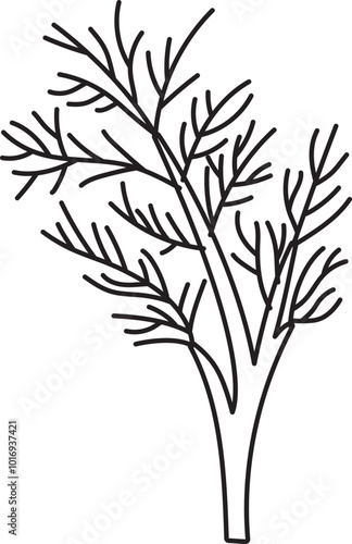 dill herb spice ingradient food clipart