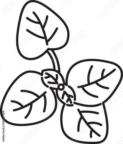 oregano herb spice ingradient food clipart