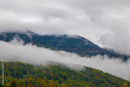 Landscape with steam, clouds above an autumn forest