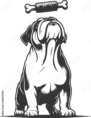 bulldog with Balancing a treat on the nose silhouette vector design.