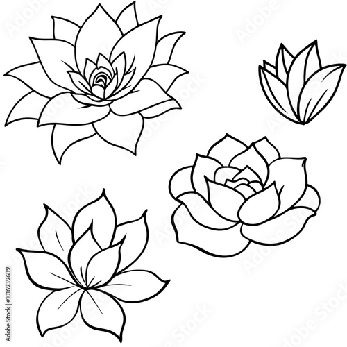 lotus flower set