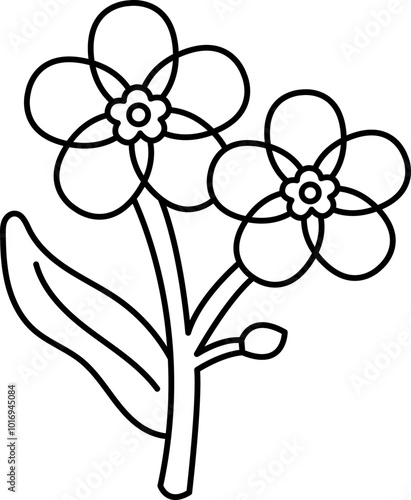 forget me not flower