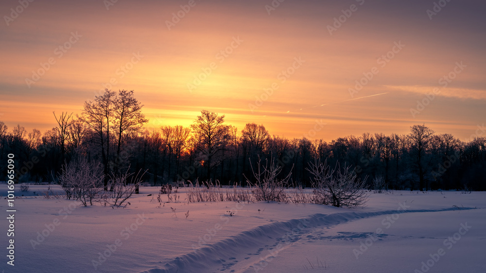 Winter sunrise in a field with silhouettes of trees. Winter sunrise in a field with silhouettes of trees.
