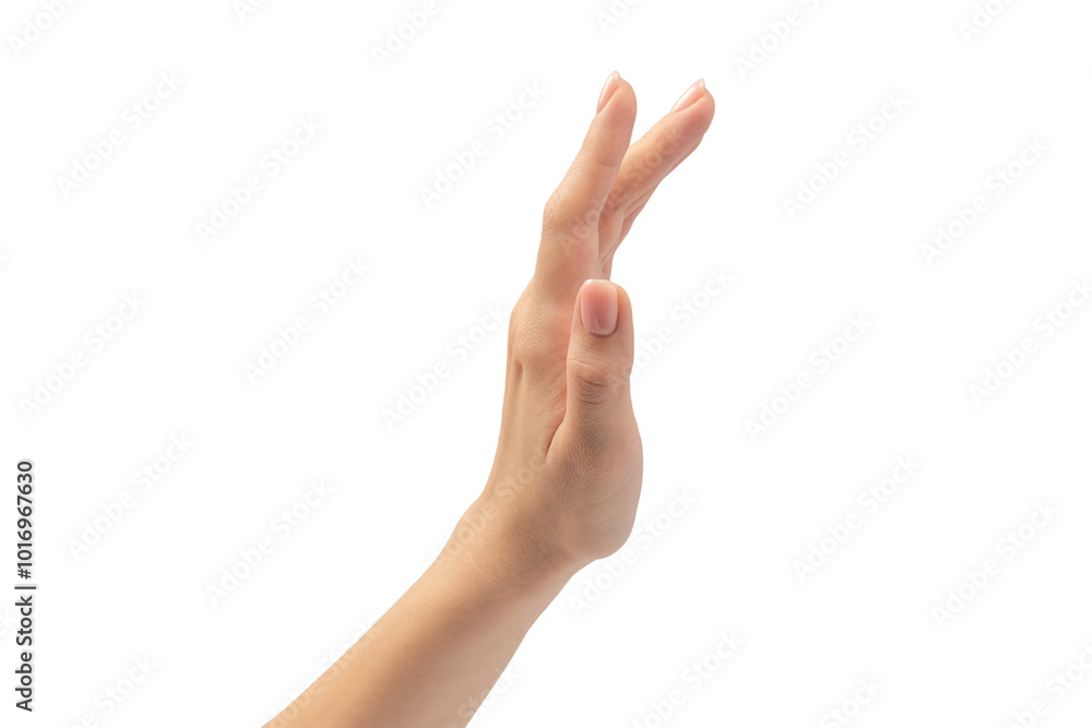 Woman hands with nude manicure isolated on a white background. Woman hands with nude manicure isolated on a white background.