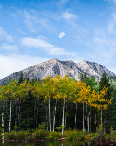 mountain in autumn