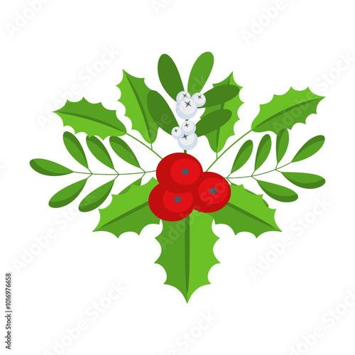 Christmas floral border. Spruce evergreen branch, poinsettia and holly berry