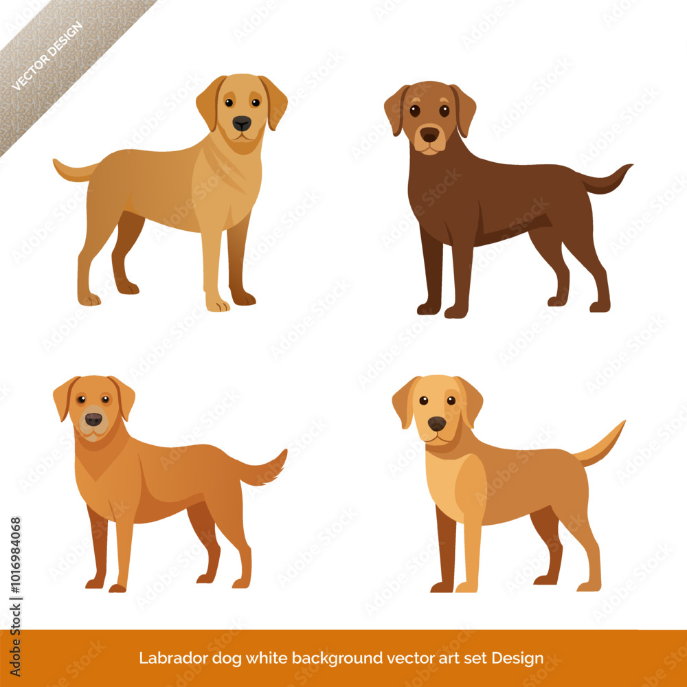 Obraz premium Labrador Dog on White Background Vector Art Set Design