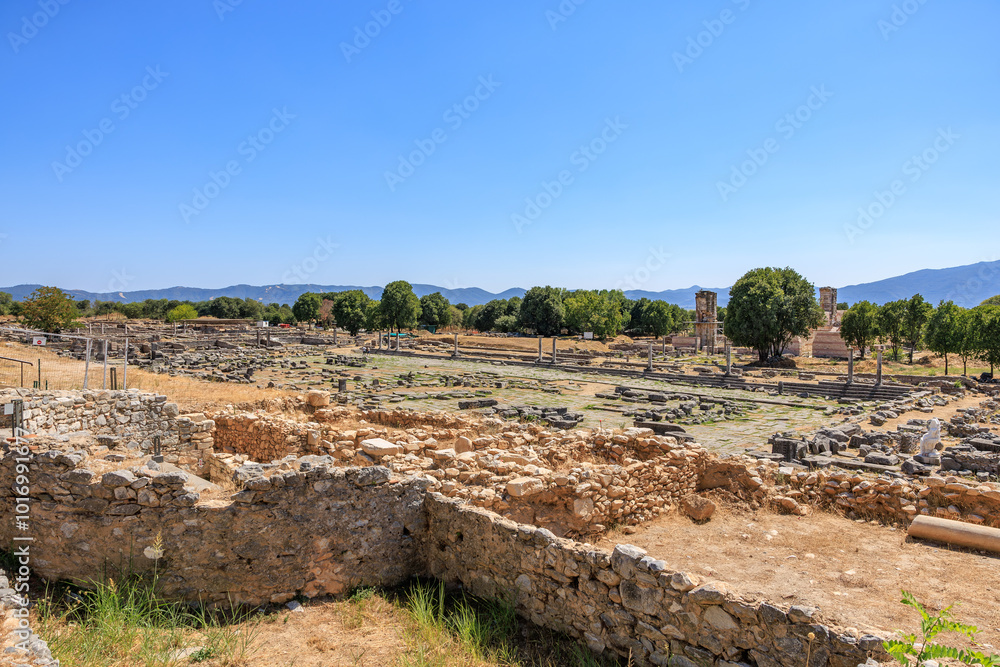 A large open field with a few trees and a stone wall. Ruins of the ancient city of Philippi, Greece A large open field with a few trees and a stone wall. Ruins of the ancient city of Philippi, Greece