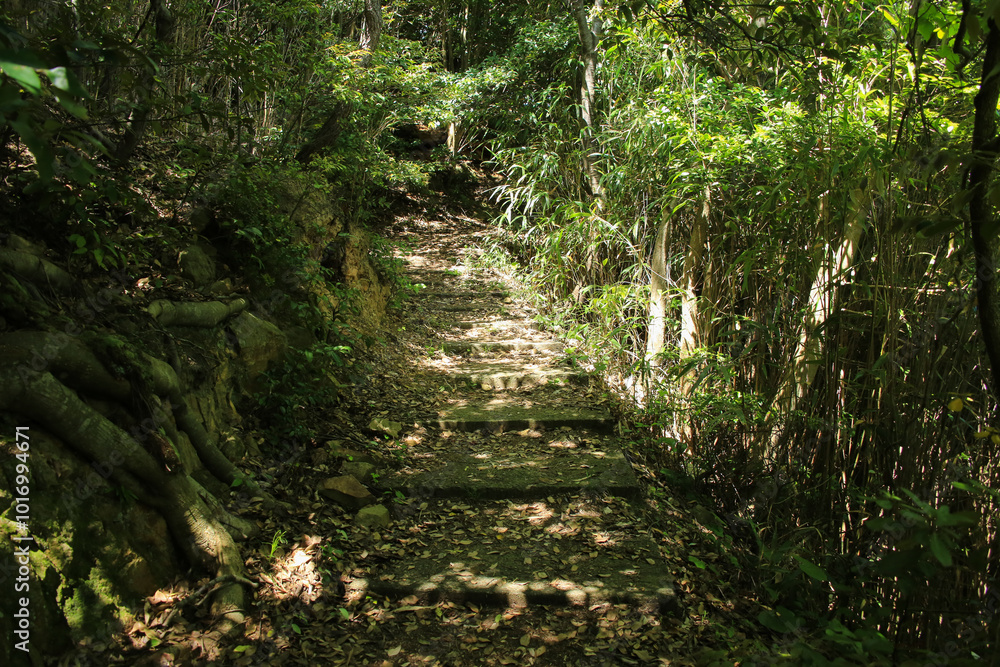 鳥取県岩美町 千貫松島への道