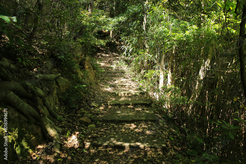 Obraz na płótnie 鳥取県岩美町 千貫松島への道 w salonie