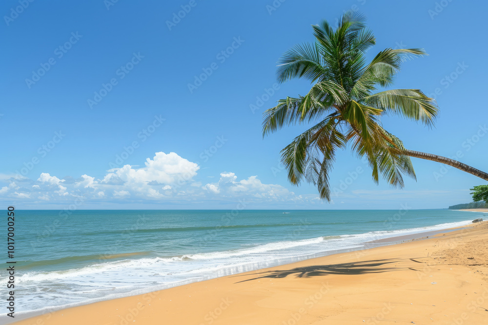 Obraz premium A palm tree is standing on a beach with a clear blue sky above