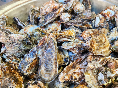 Korean Seafood Food. Steamed oysters